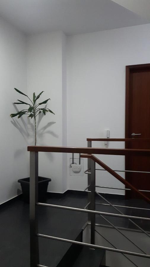 Casa Maio Bed & Breakfast Porto Bagian luar foto